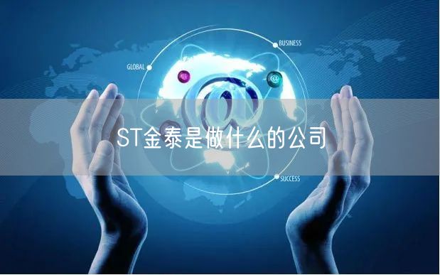 ST金泰是做什么的公司