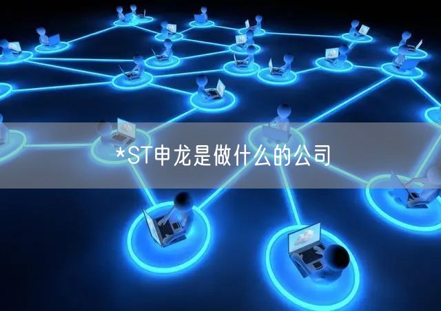 *ST申龙是做什么的公司
