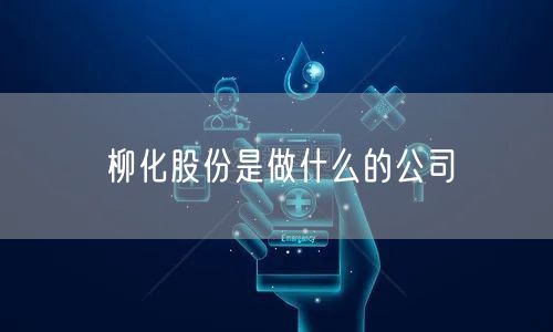 柳化股份是做什么的公司