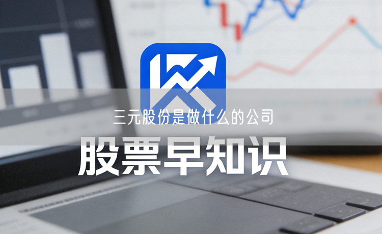 三元股份是做什么的公司