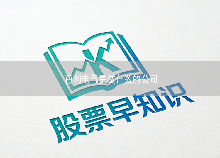 百利电气是做什么的公司