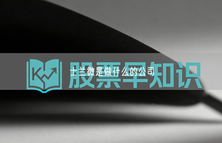 士兰微是做什么的公司