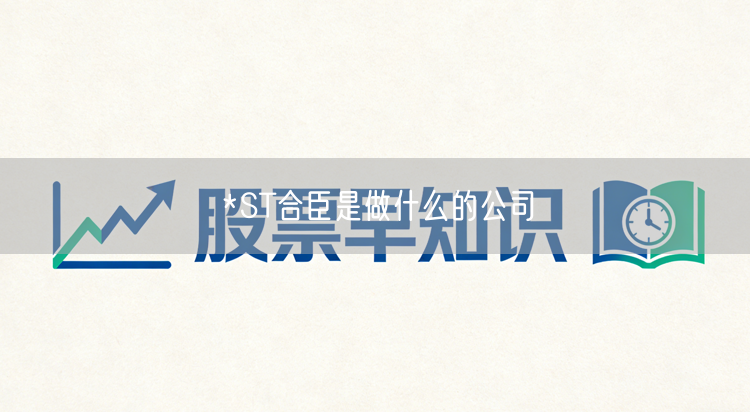 *ST合臣是做什么的公司