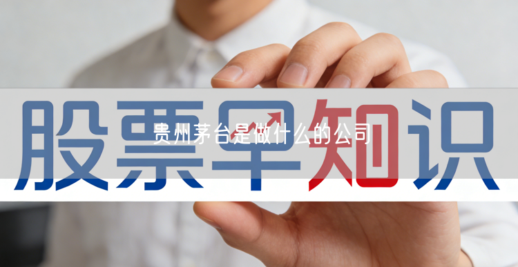 贵州茅台是做什么的公司