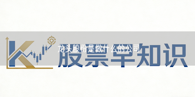 龙头股份是做什么的公司