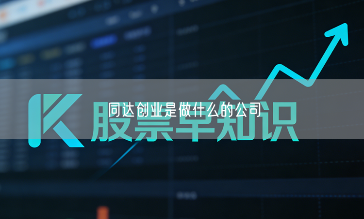 同达创业是做什么的公司
