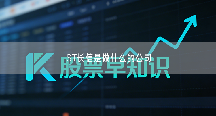 ST长信是做什么的公司
