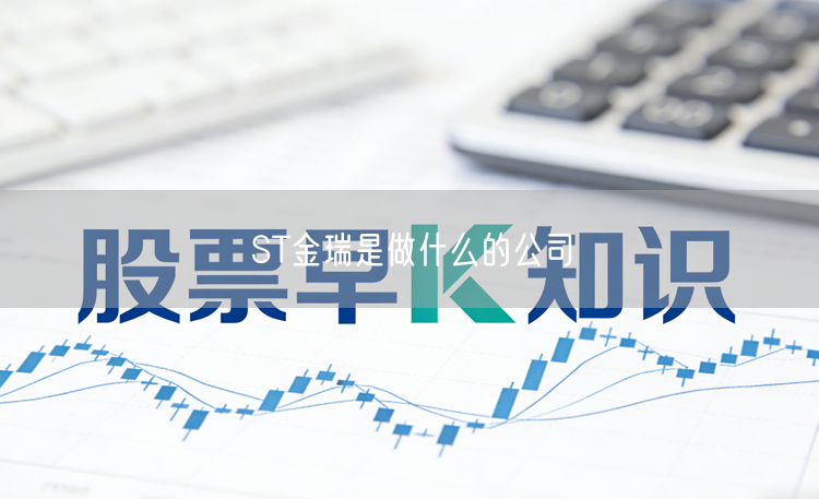 ST金瑞是做什么的公司