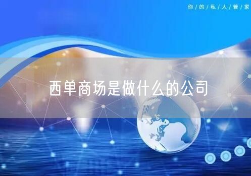 西单商场是做什么的公司