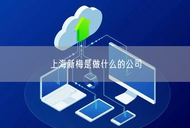 上海新梅是做什么的公司