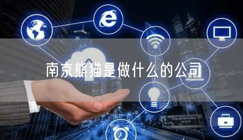 南京熊猫是做什么的公司