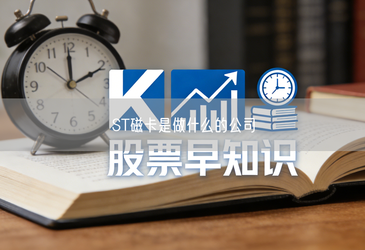 ST磁卡是做什么的公司