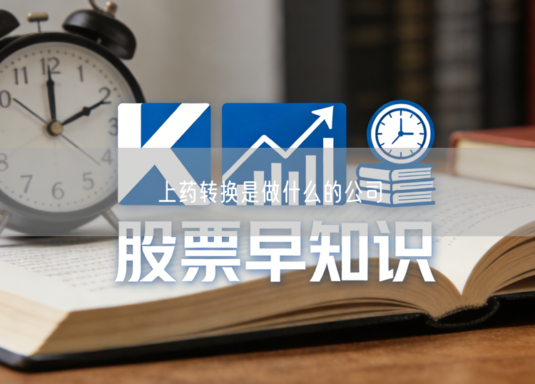 上药转换是做什么的公司