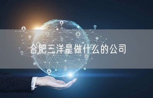 合肥三洋是做什么的公司