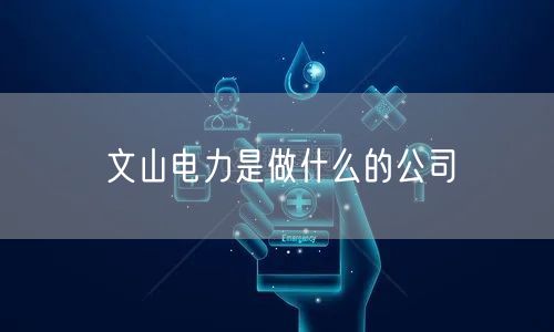 文山电力是做什么的公司