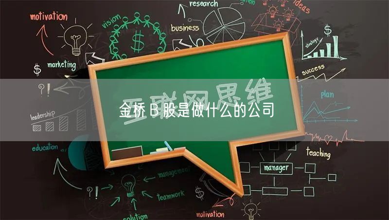 金桥Ｂ股是做什么的公司