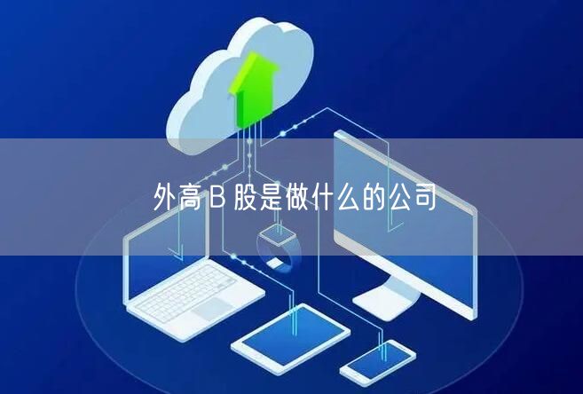 外高Ｂ股是做什么的公司