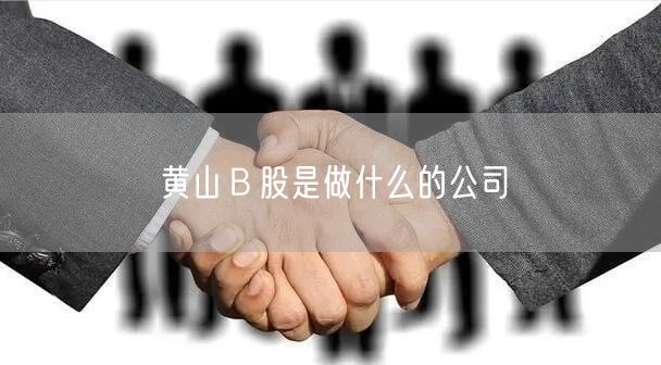 黄山Ｂ股是做什么的公司