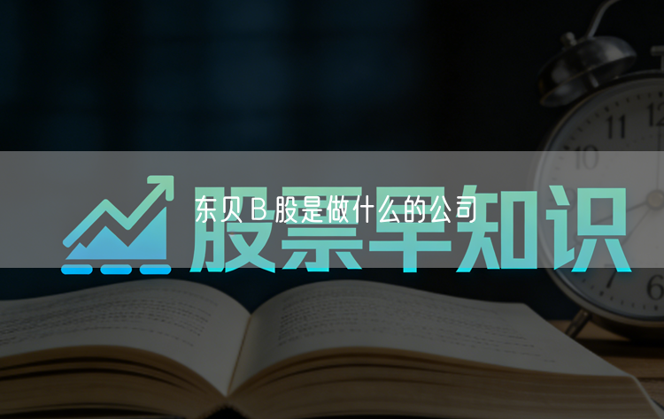 东贝Ｂ股是做什么的公司