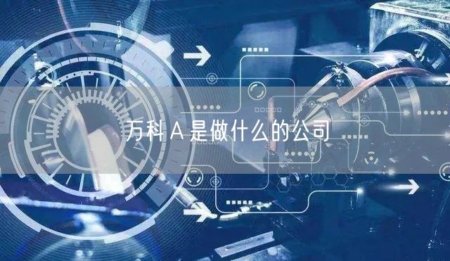 万科Ａ是做什么的公司