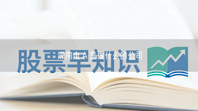 深南电Ａ是做什么的公司
