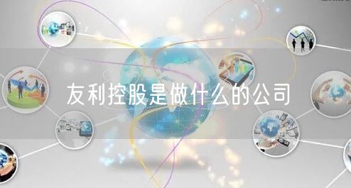 友利控股是做什么的公司