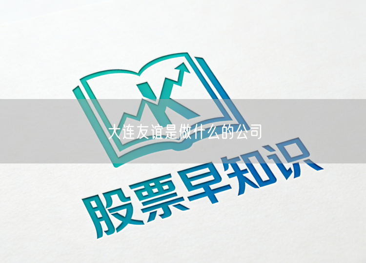 大连友谊是做什么的公司