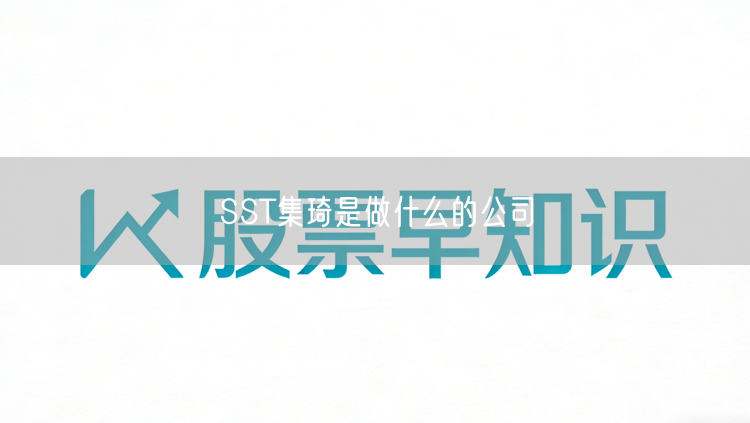 SST集琦是做什么的公司