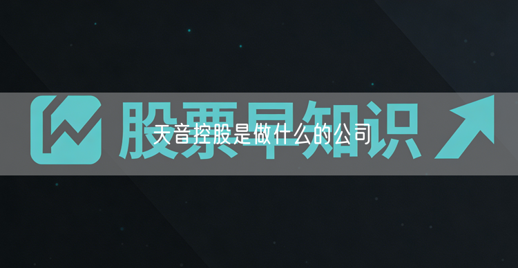 天音控股是做什么的公司