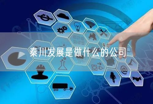 秦川发展是做什么的公司