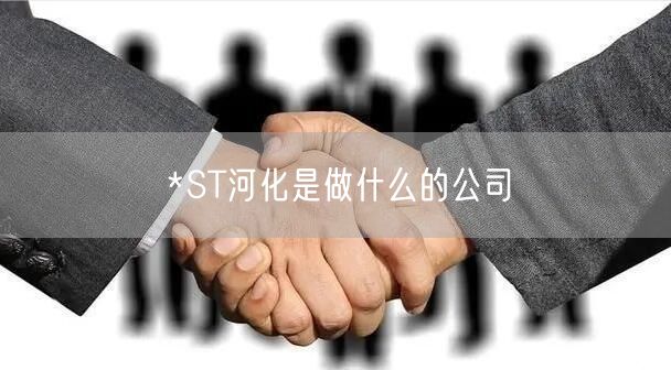 *ST河化是做什么的公司