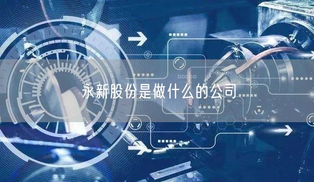 永新股份是做什么的公司