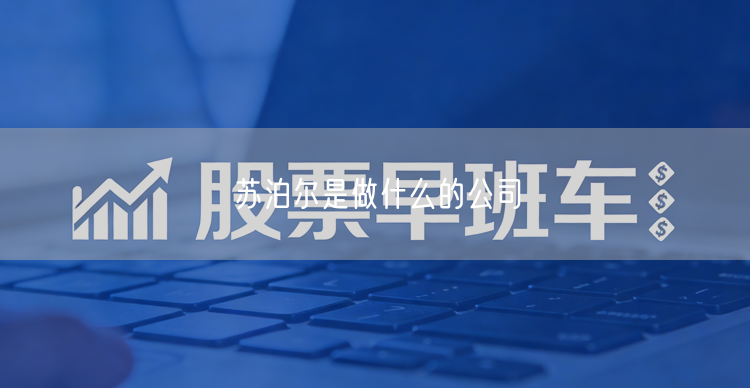 苏泊尔是做什么的公司