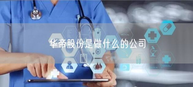 华帝股份是做什么的公司