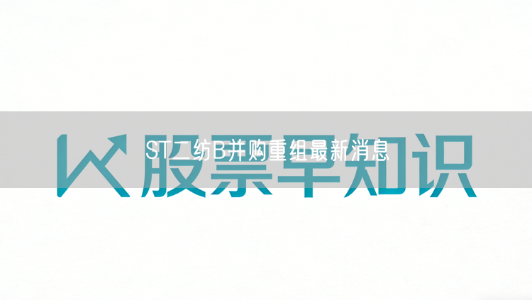 ST二纺B并购重组最新消息