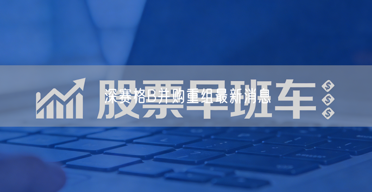 深赛格B并购重组最新消息